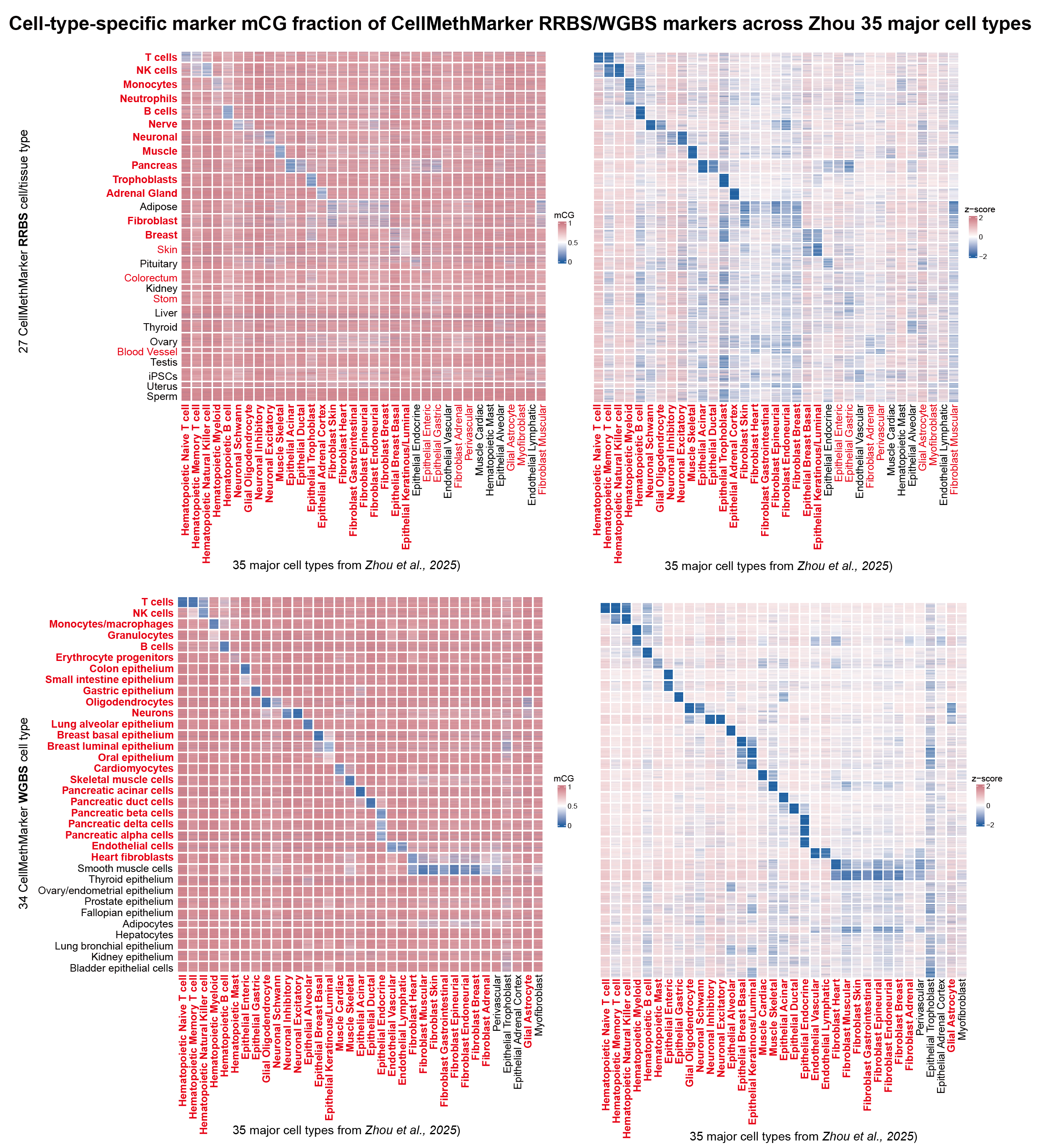 CellMethMarker custom marker heatmap